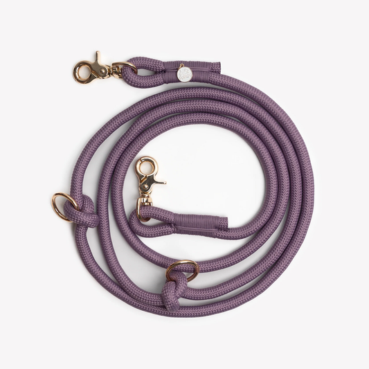 Lilac Hands Free Braided Leash