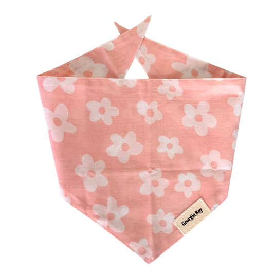 Daisie Bandana