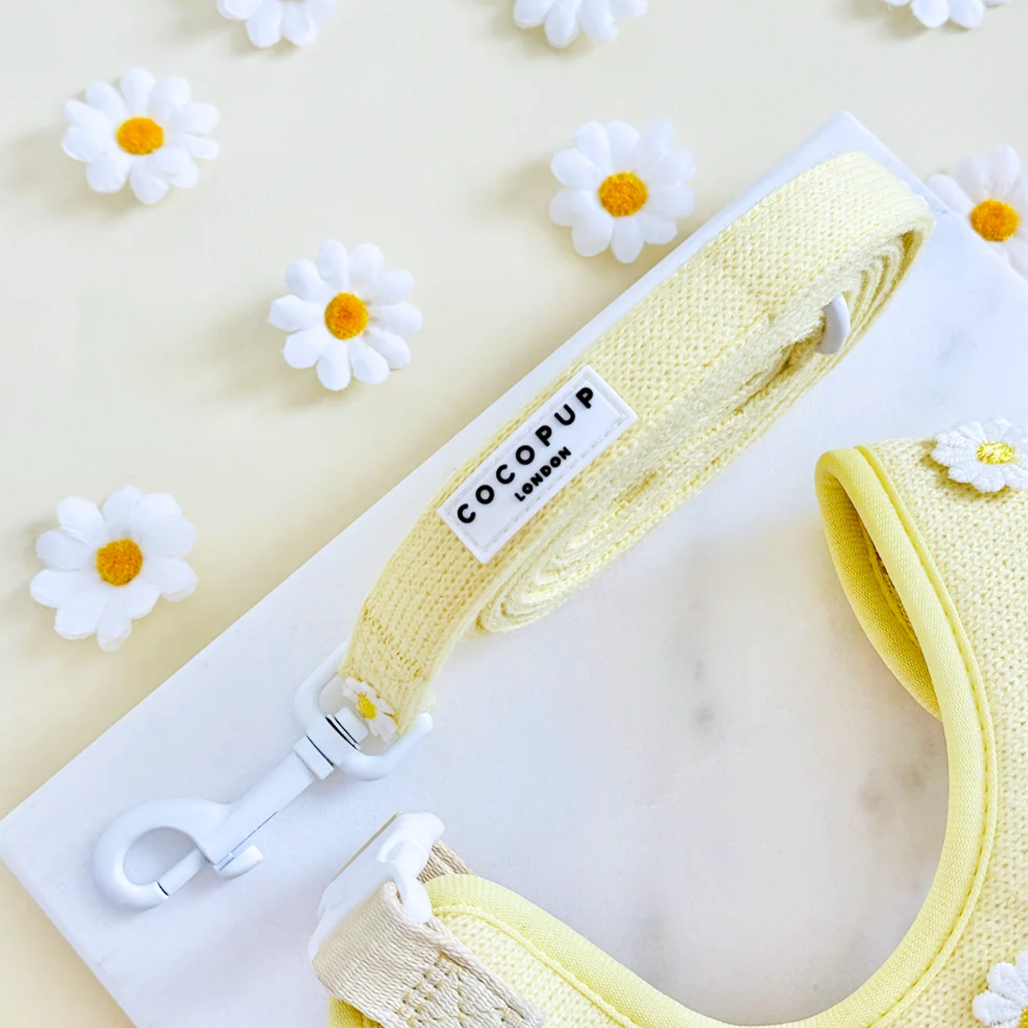 Buttercup Pup Leash