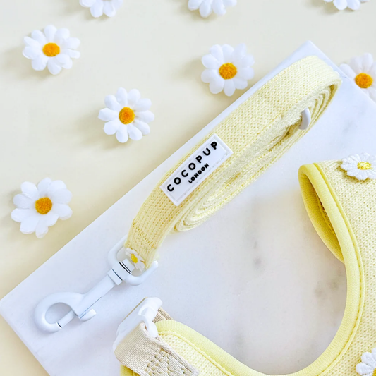 Buttercup Pup Leash