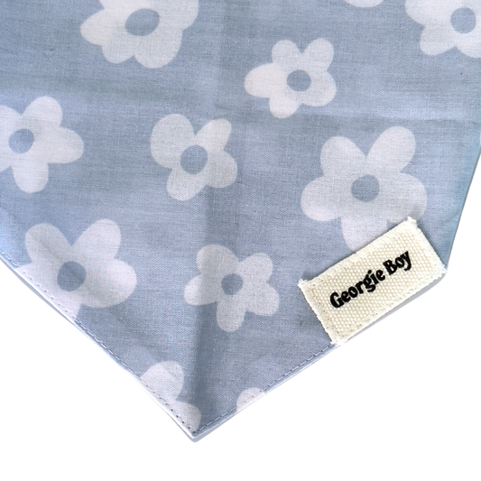 Noah Bandana