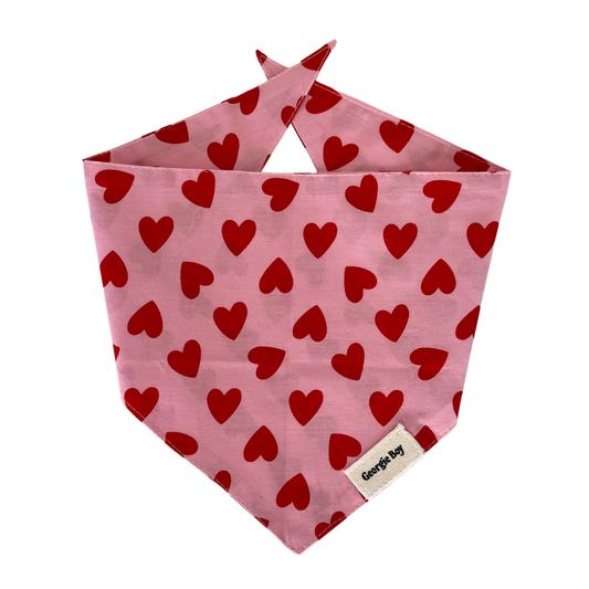 Love Song Bandana