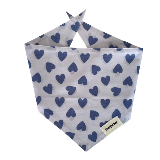 Story Bandana