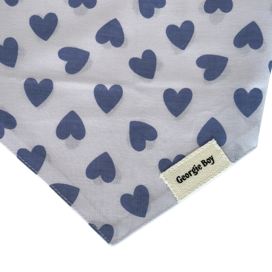 Story Bandana
