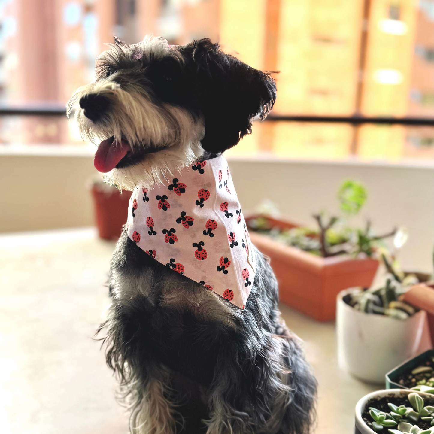 Love Bug Bandana