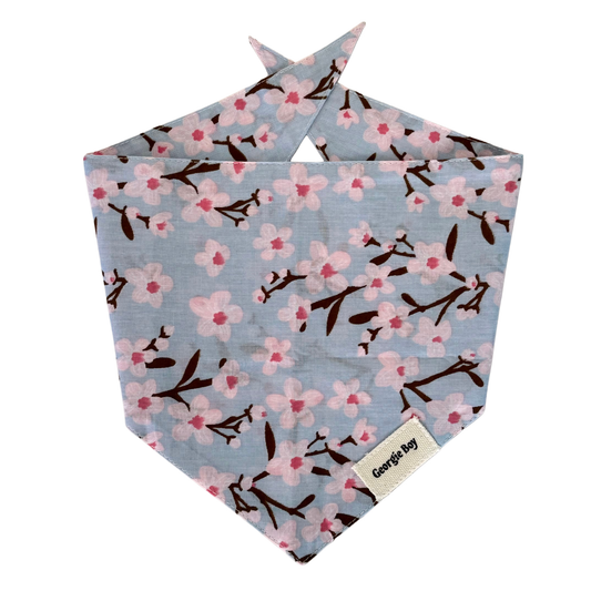 Cherry Blossom Bandana