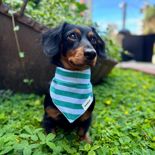 Gili Bandana