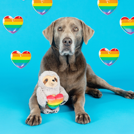 Follow Your Rainbow