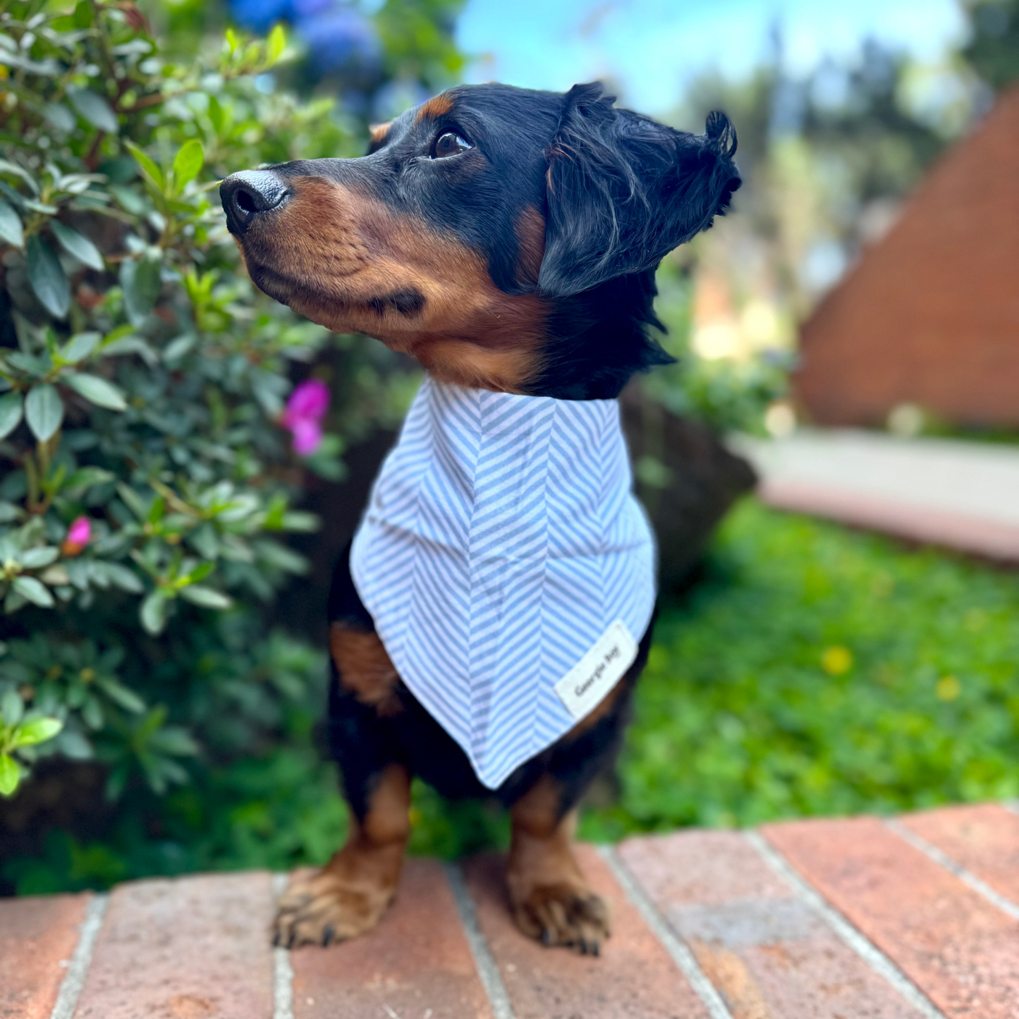 Breezy Bandana