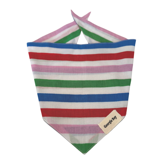 Striped Bandana