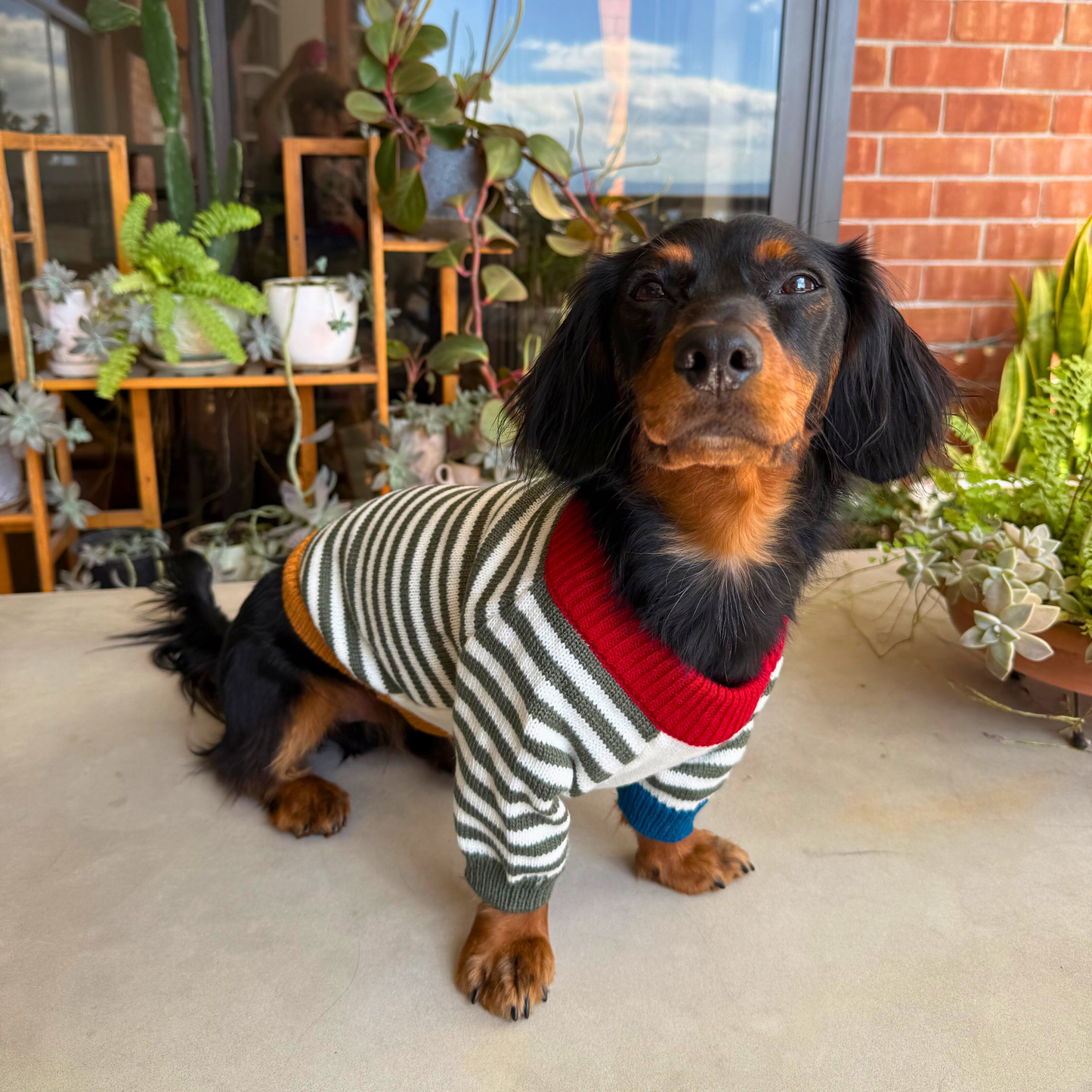 Captain Stripes Sweater