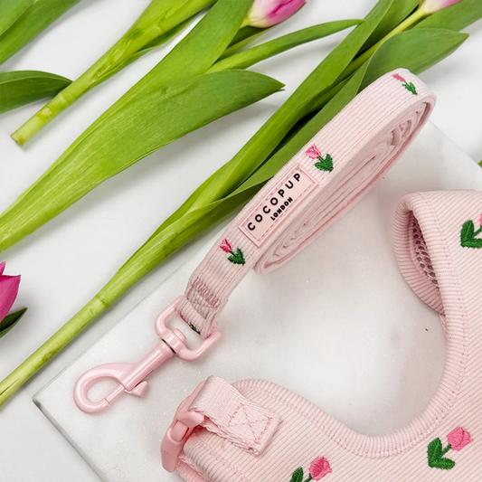Tulip Tails Leash