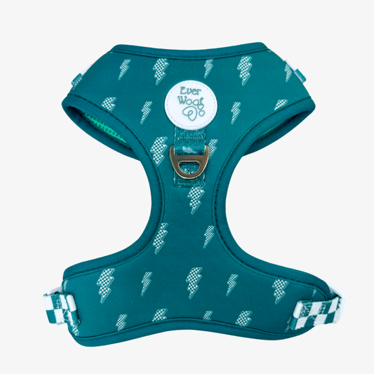 Thunderstruck Adjustable Harness