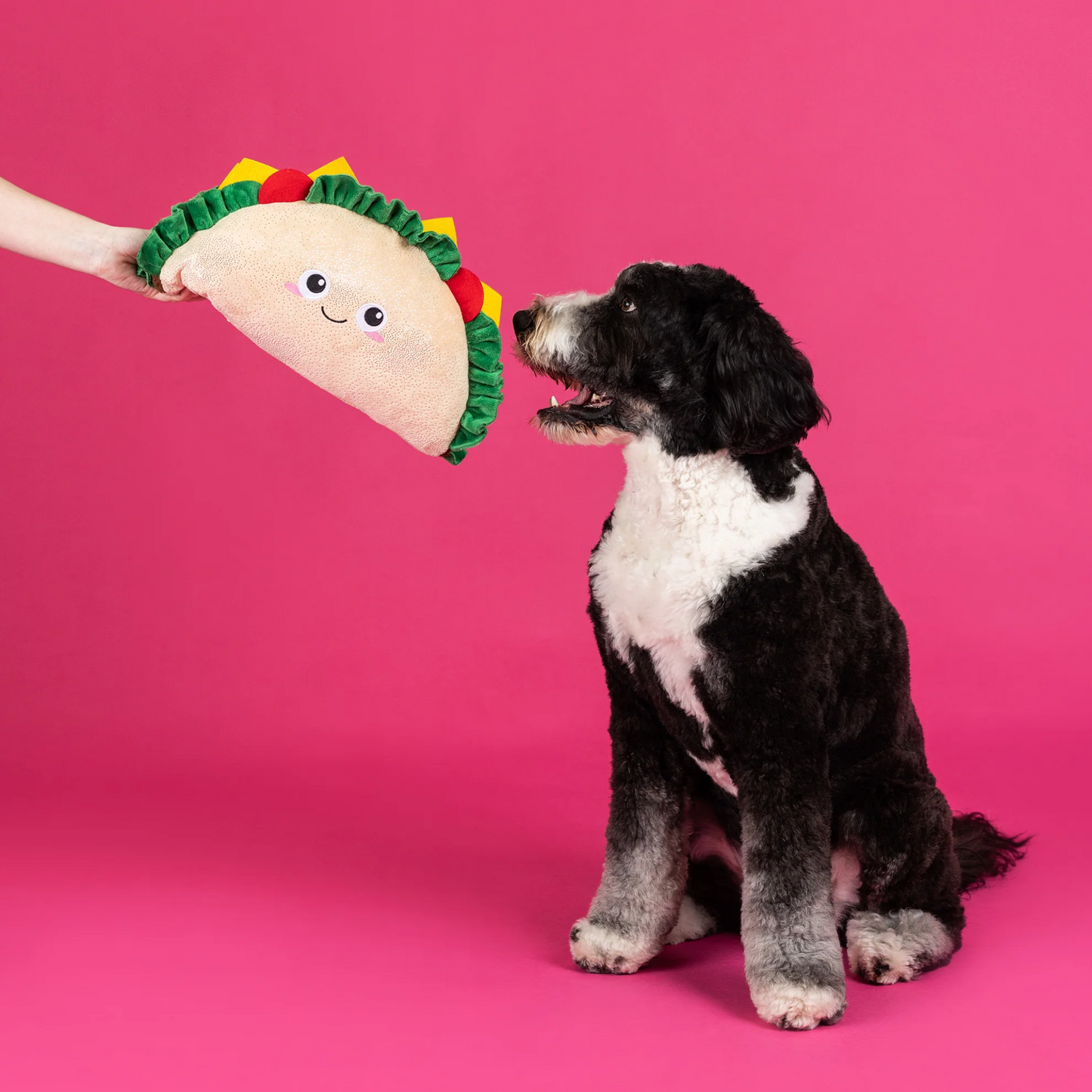 Fantas Taco