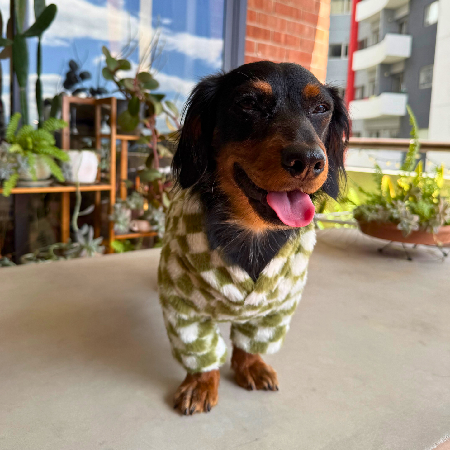 Green Checkers Sweater
