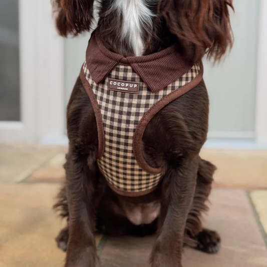 Cotswold Adjustable Harness