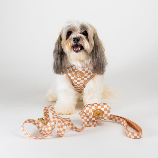 Check Me Out Adjustable Harness