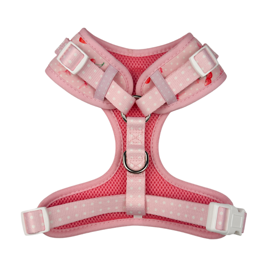 Sweet Chérie Adjustable Harness