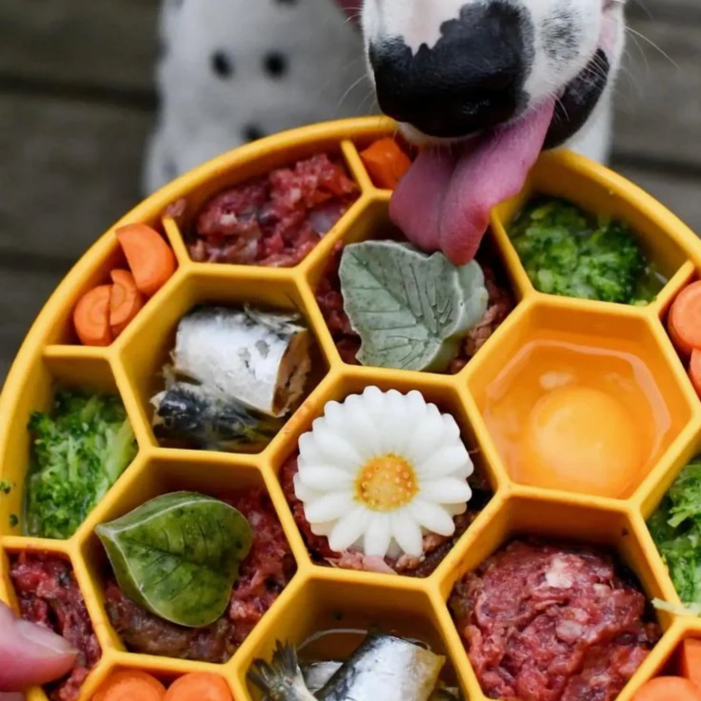 Honeycomb Ebowl