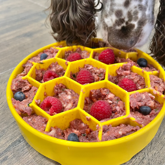 Honeycomb Ebowl