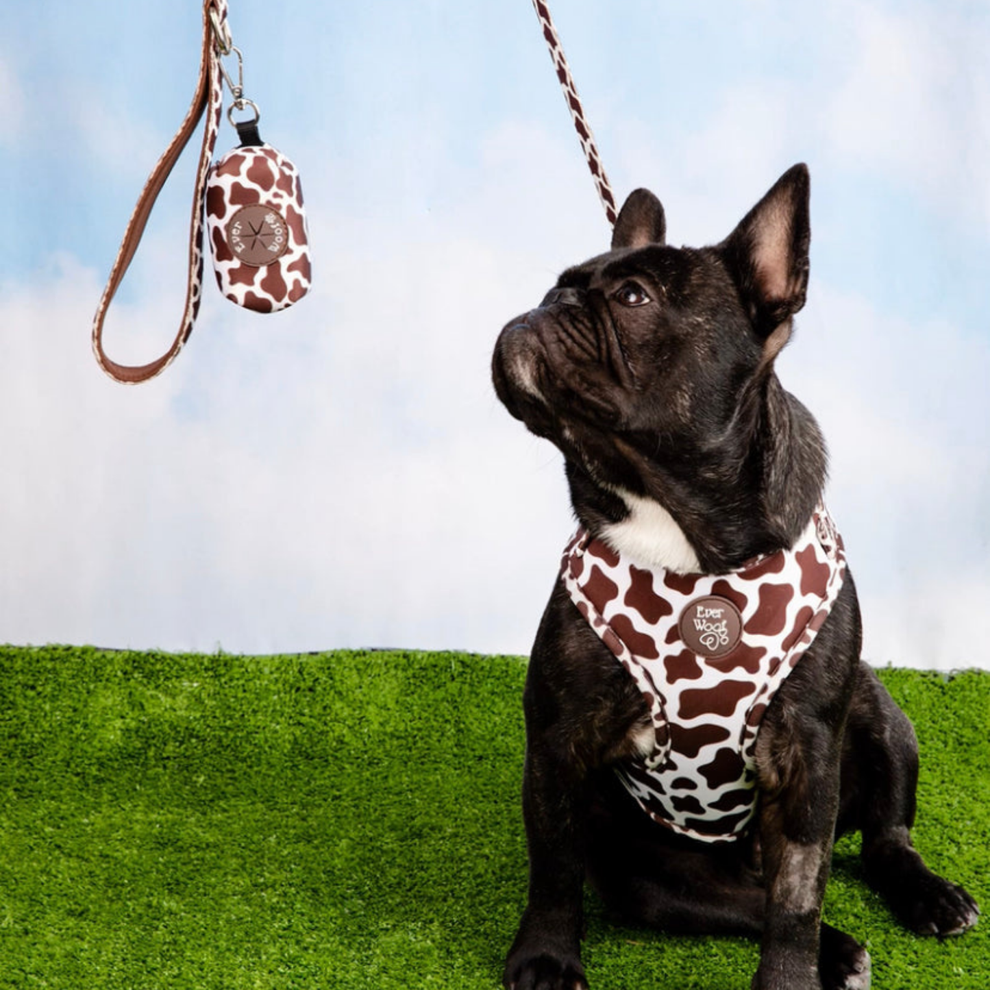 Chocolate Cow Adjustable Harness