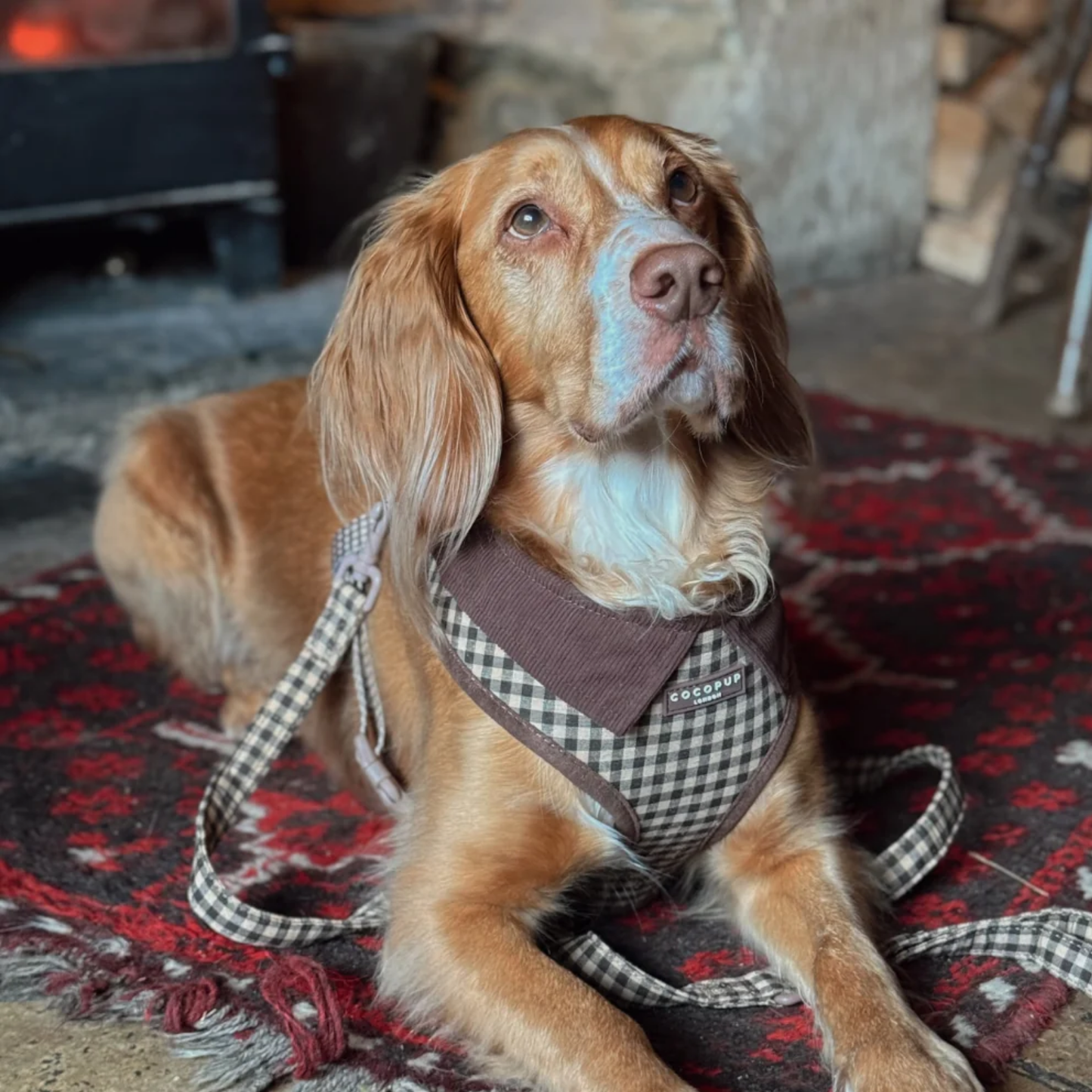Cotswold Check Leash