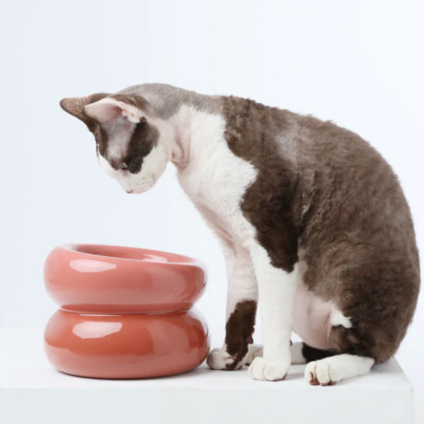 Soufflé Bowl Rose Pink