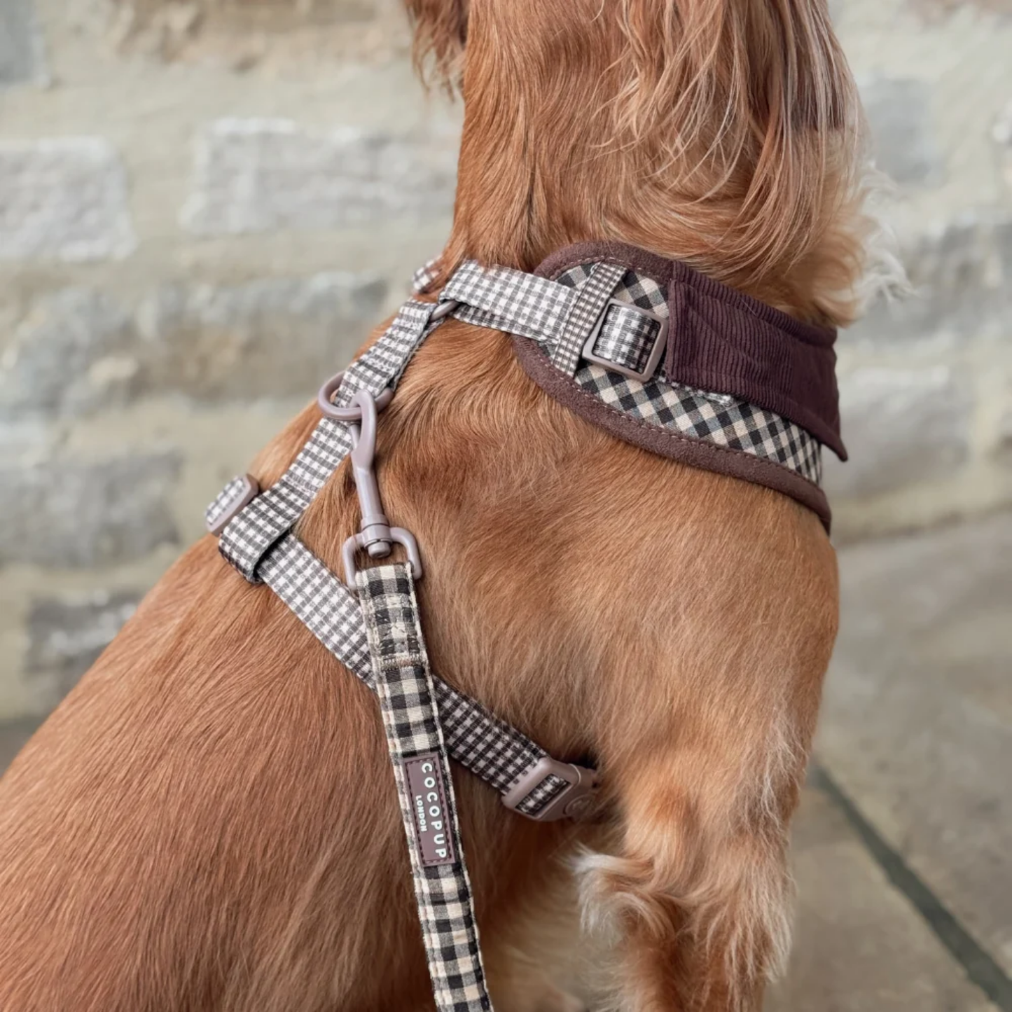 Cotswold Check Leash
