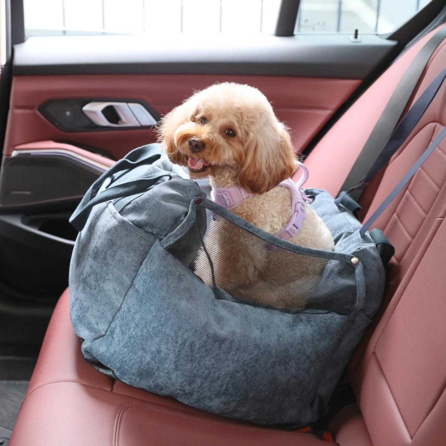 Puff Guard Dog Car Seat Blue