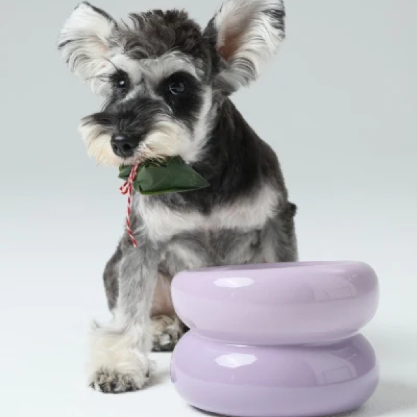 Soufflé Bowl Purple