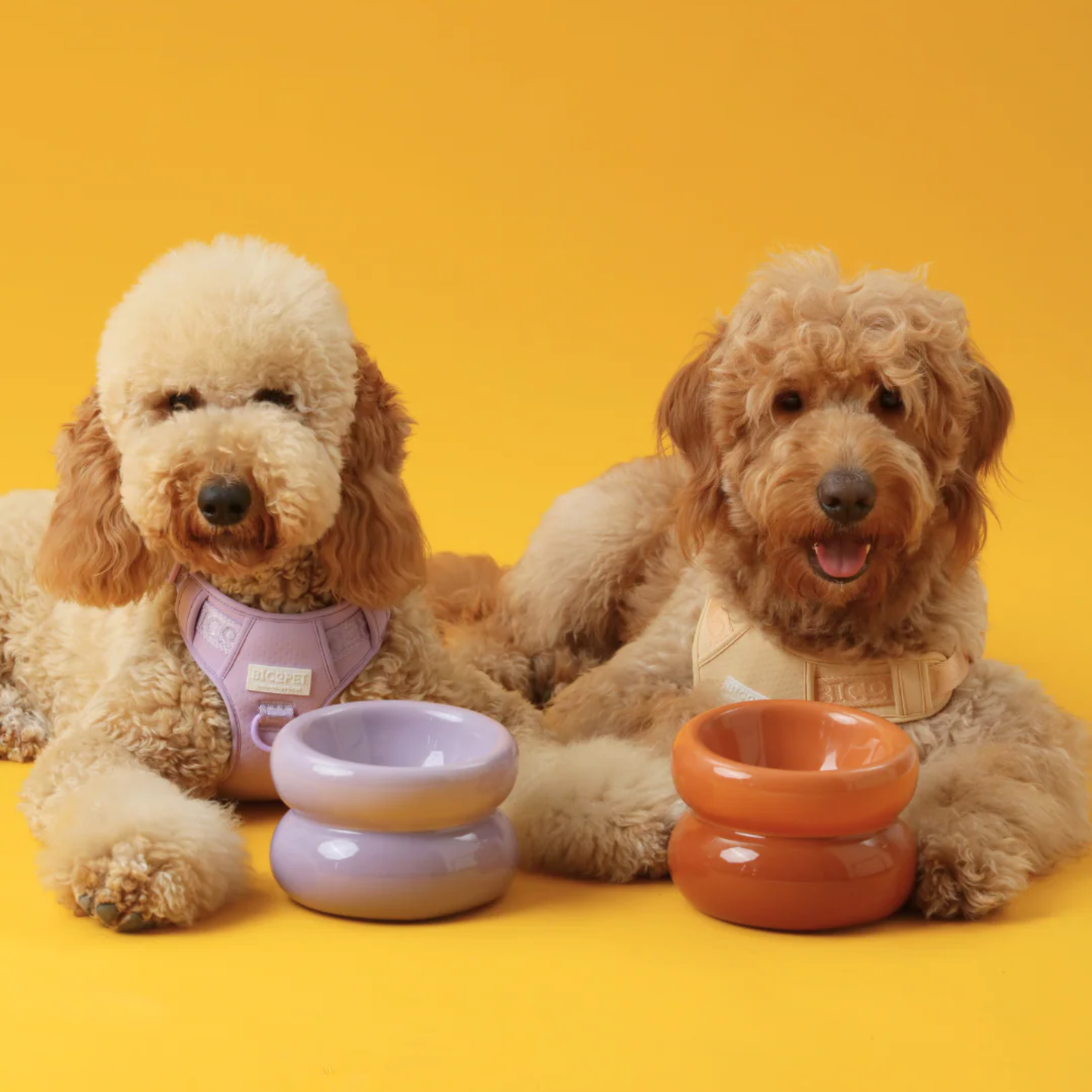 Soufflé Bowl Purple