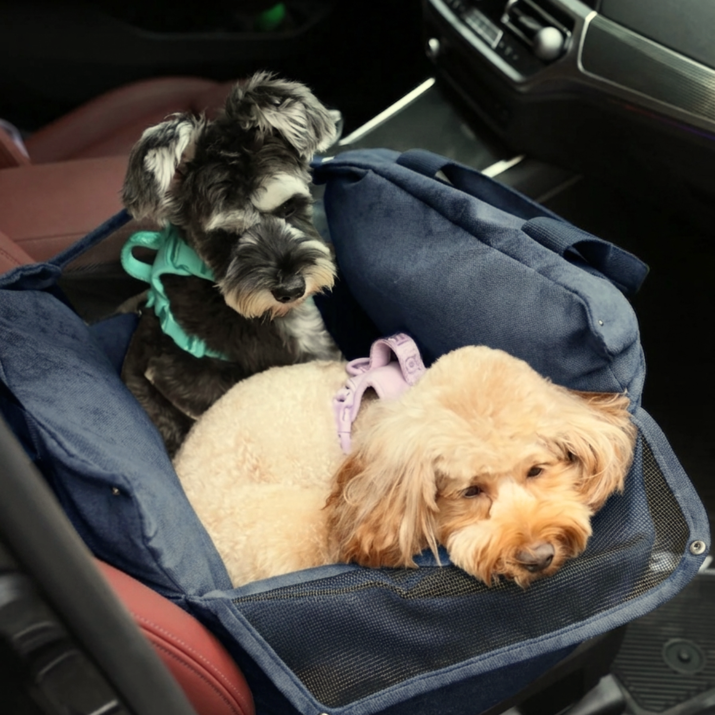 Puff Guard Dog Car Seat Blue