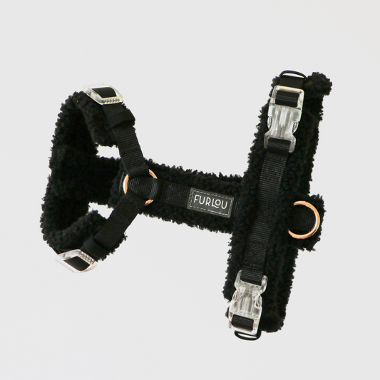 Black Sherpa Dog Harness