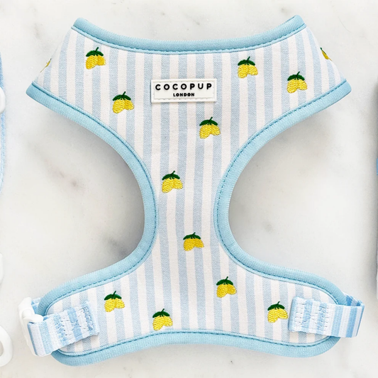 Living La Vida Lemon Adjustable Neck Harness