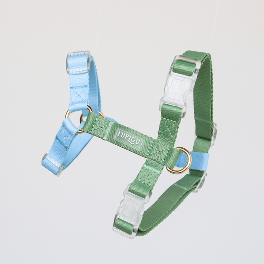 Blue and Sage Green Dog Harness