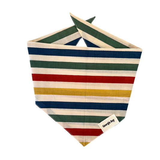 Frontier Bandana