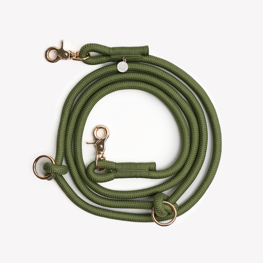 Green Hands Free Braided Leash