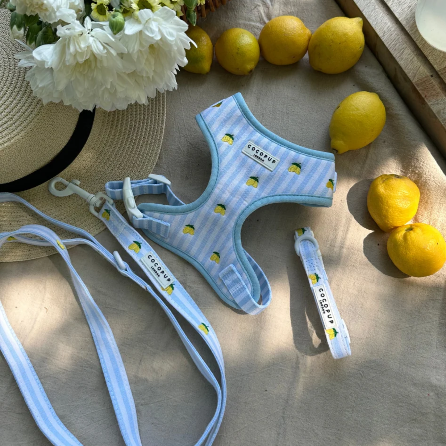 Living La Vida Lemon Adjustable Neck Harness