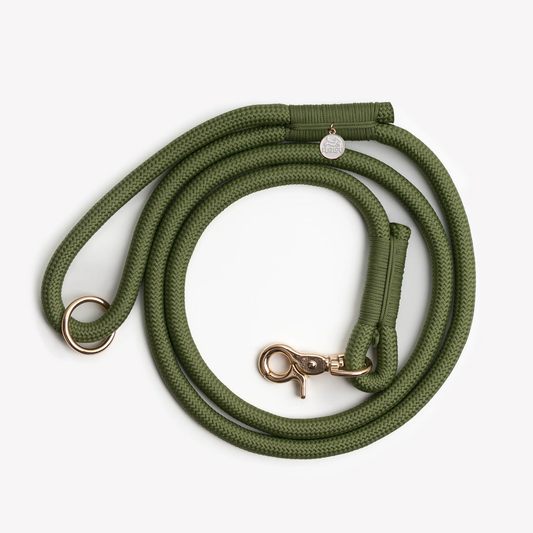 Green Braided Rope Leash
