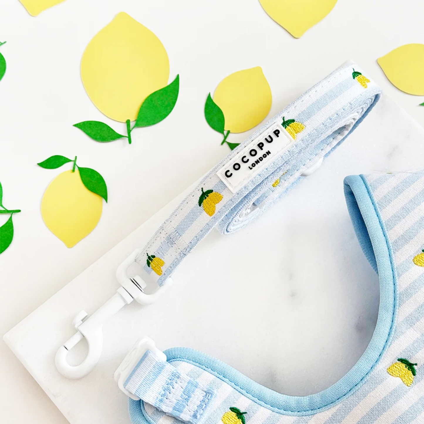 Living La Vida Lemon Leash