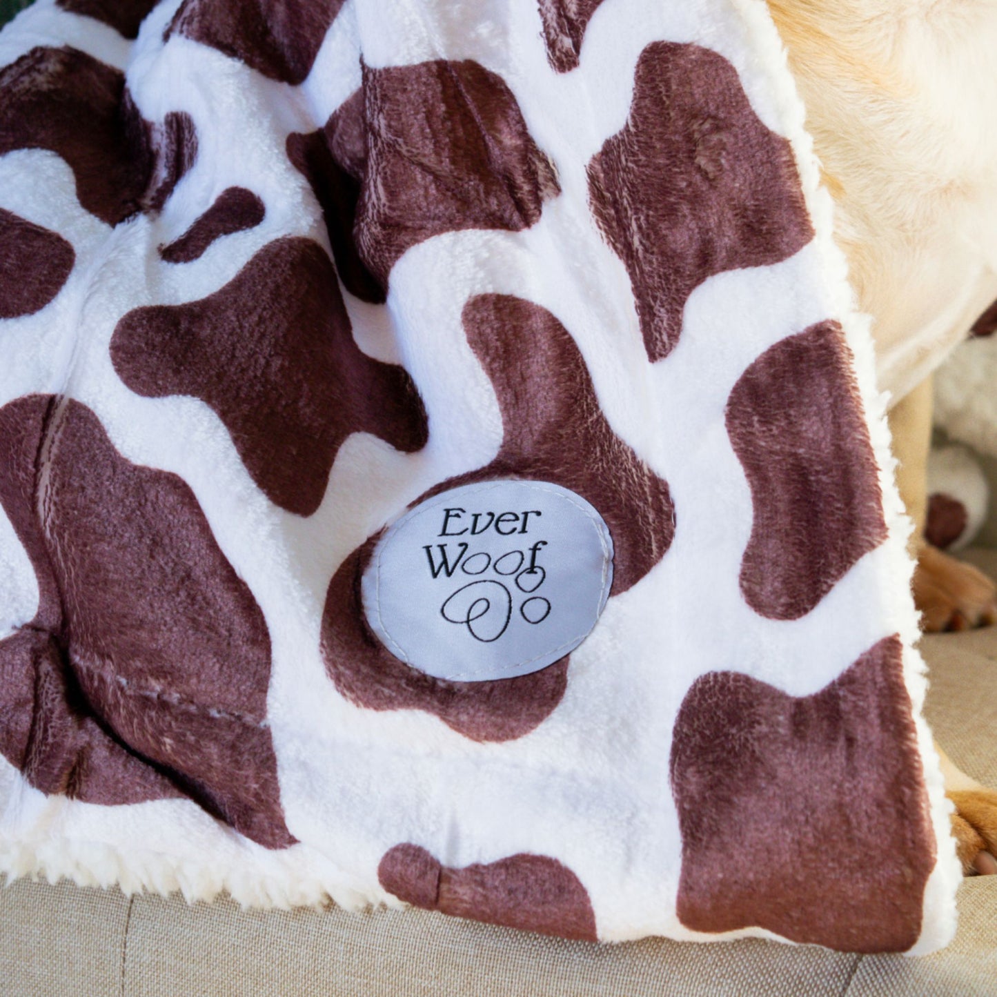 Chocolate Cow Blanket