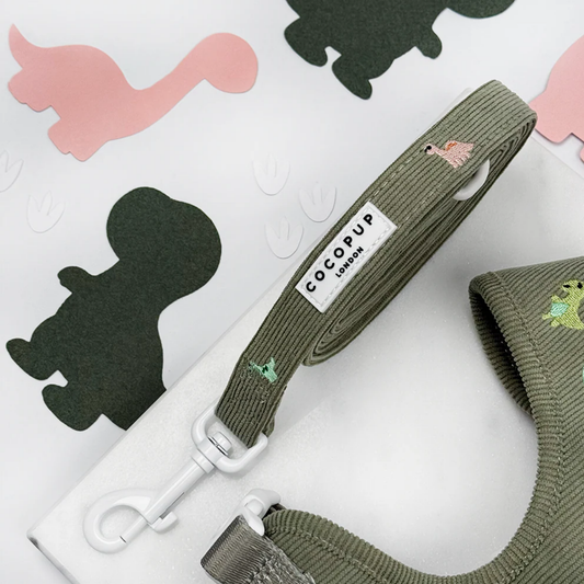 Dino Doodles Leash