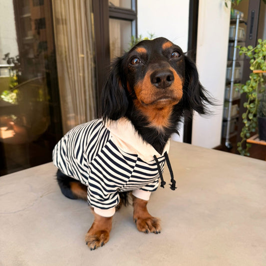 Nautical Hoodie
