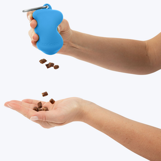 Springer Silicone Dog Treat Dispenser