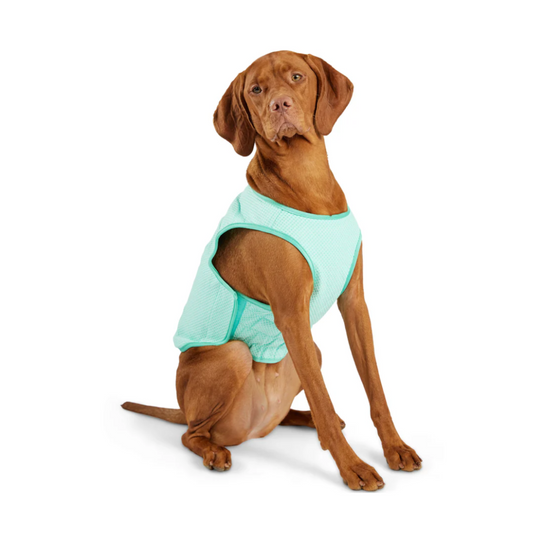 Elasto-Fit Ice Vest