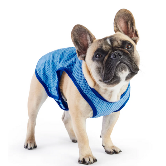 Elasto-Fit Ice Vest