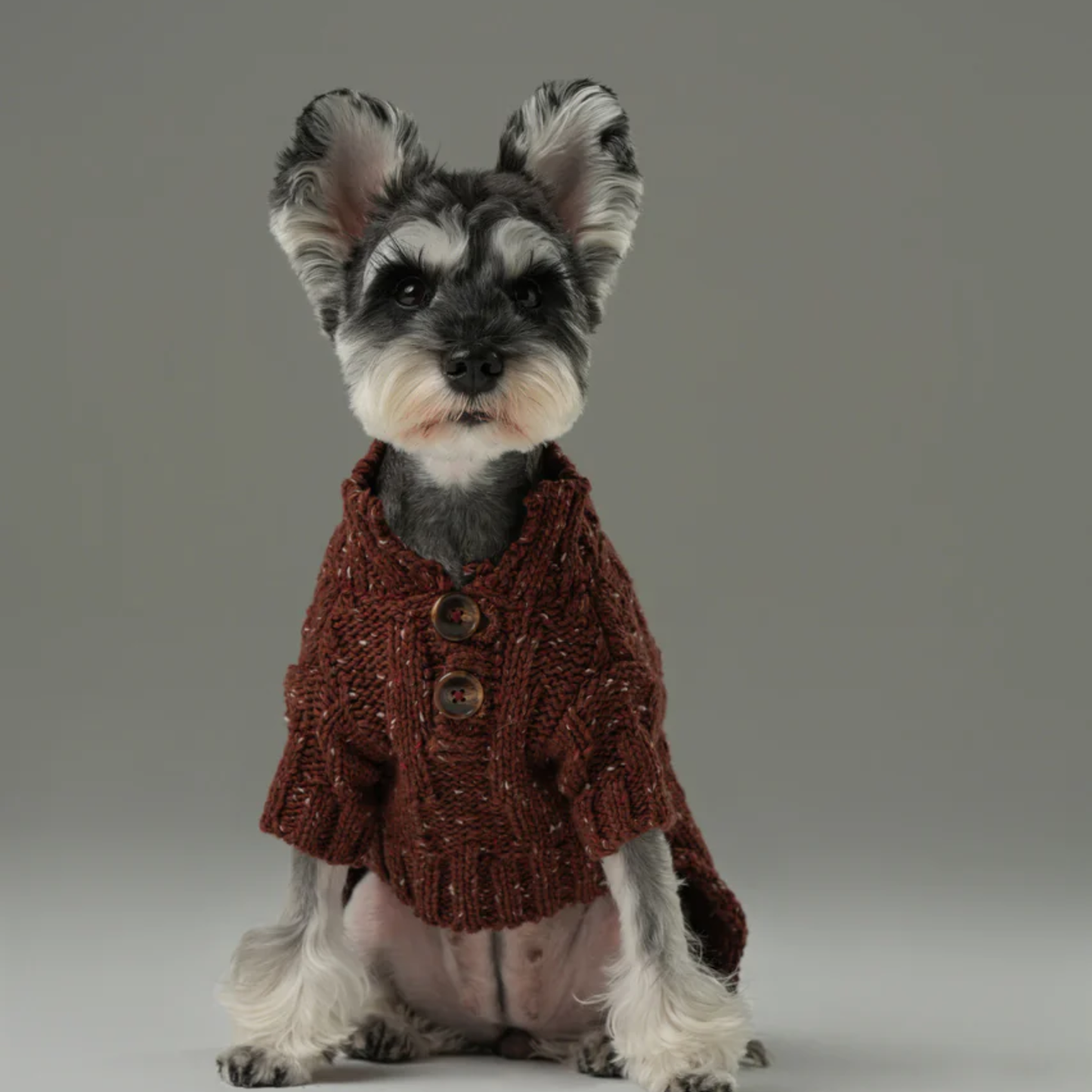 Glacier Pet Sweater Burgundy