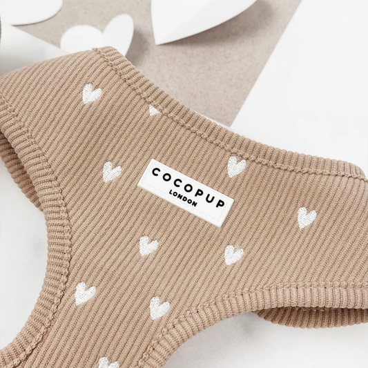 Chai Hearts Collar
