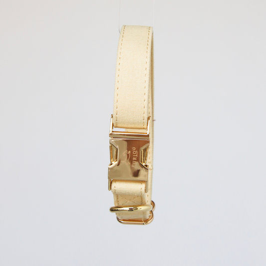Cream Ivory Dog Collar