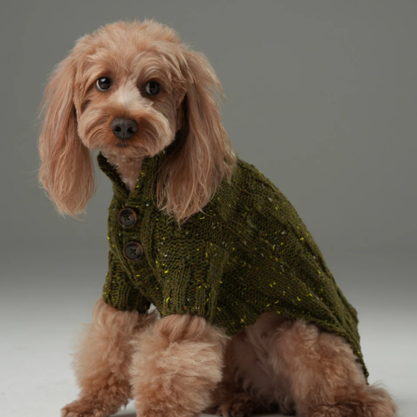 Glacier Pet Sweater Olive Green